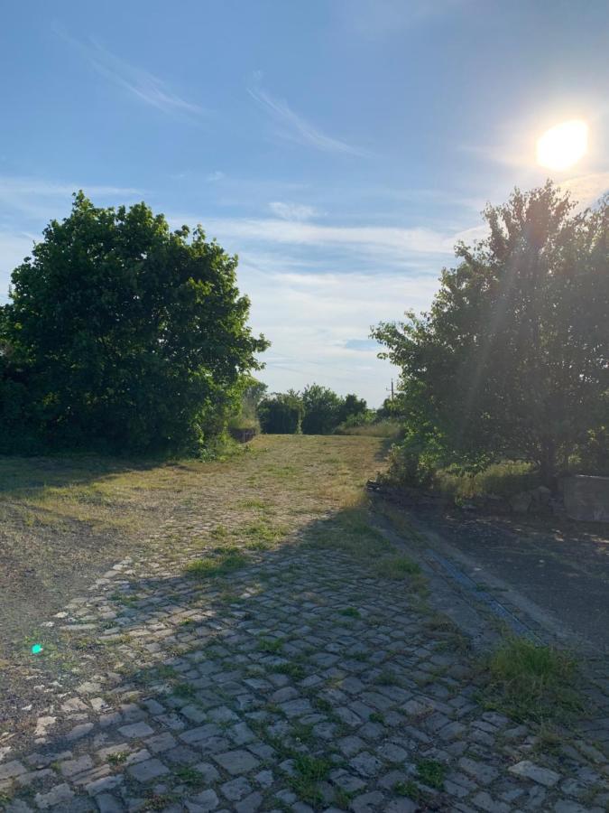 Apartamento Lindenhof Hecklingen  Exterior foto